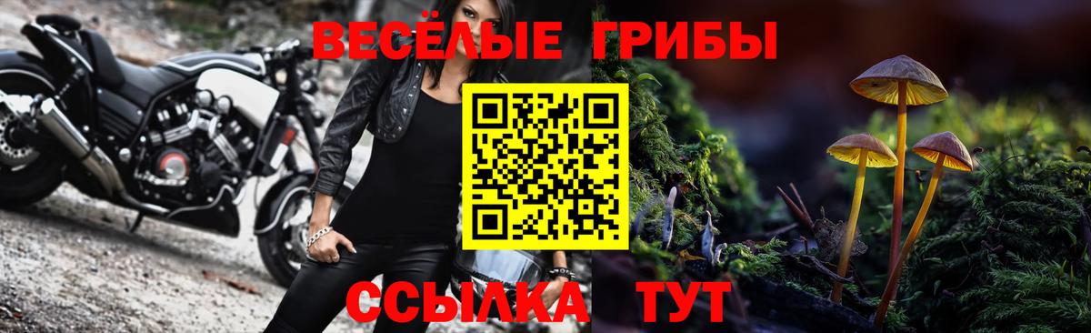 Псилоцибиновые грибы Psilocybe  Вход с VPN  Троицк 